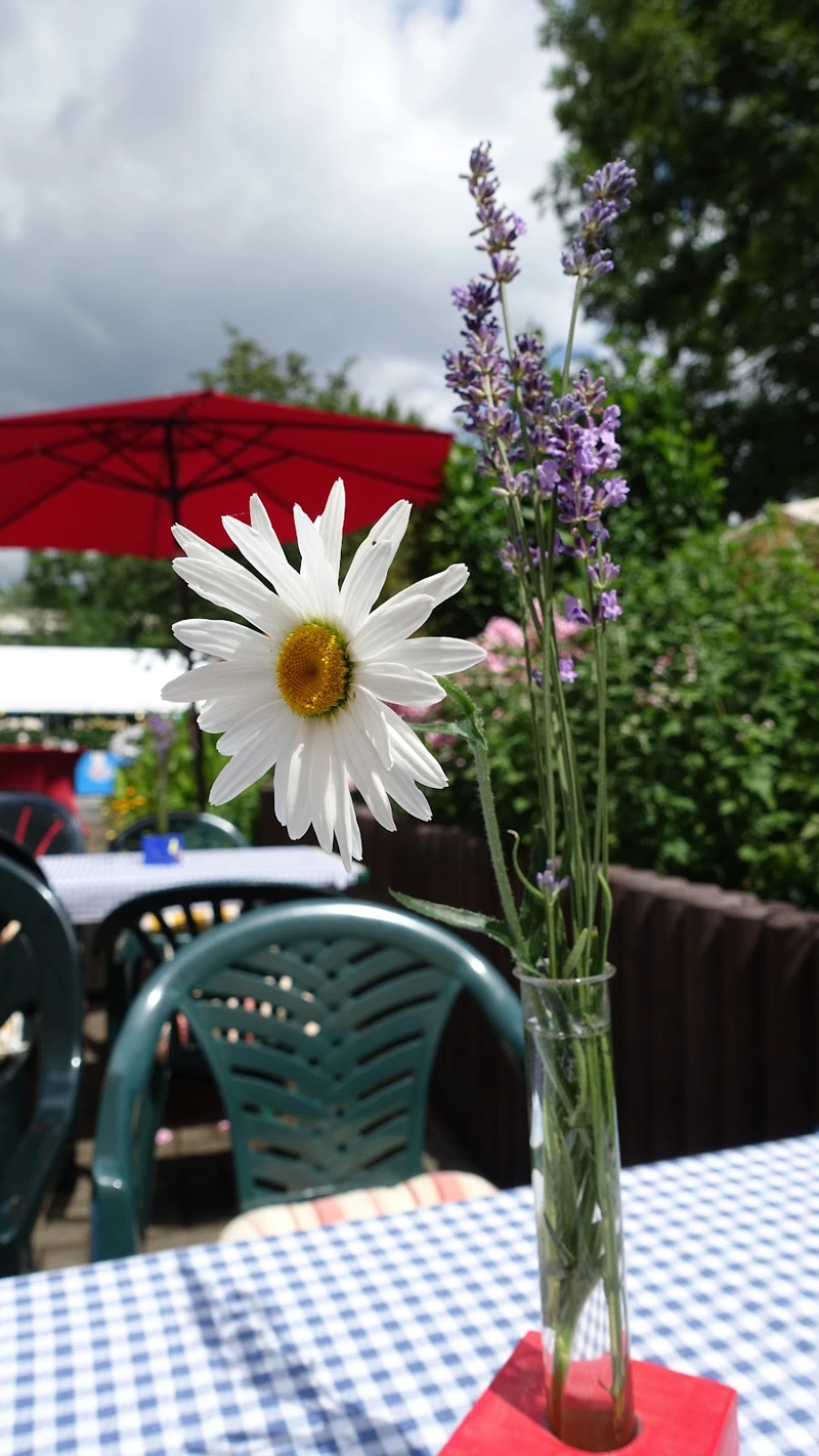 DRK Altenpflegeheim Pieschen – Bild 5