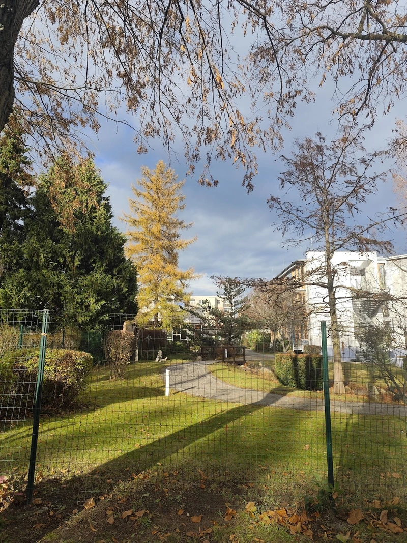 Seniorenhilfe Zeitz Das Ambulante Pflegeteam – Bild 2