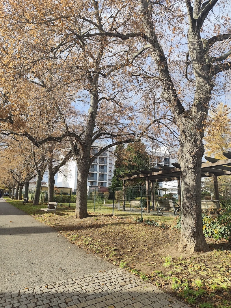 Seniorenhilfe Zeitz Das Ambulante Pflegeteam – Bild 3