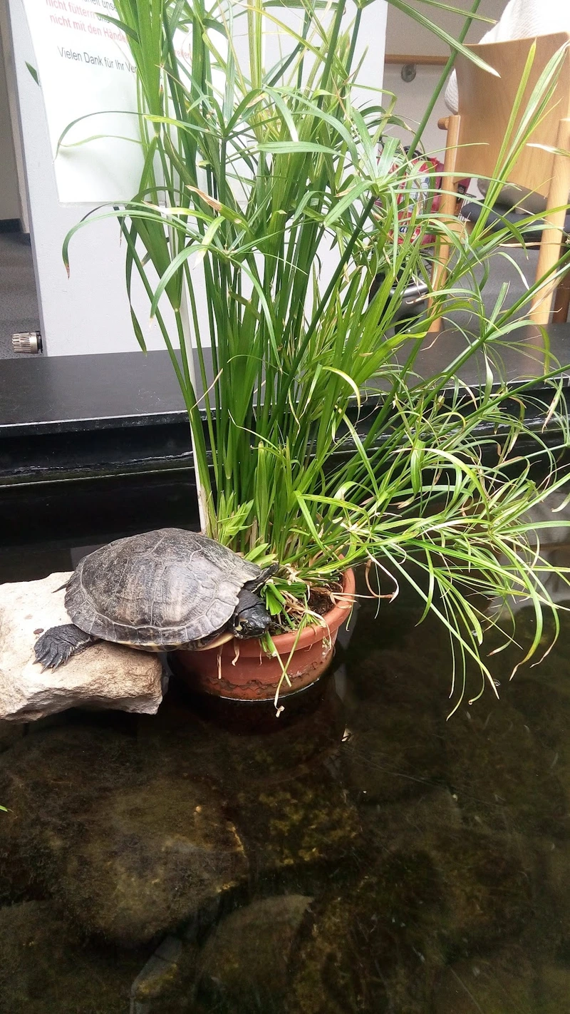 Seniorenhilfe Zeitz Das Ambulante Pflegeteam – Bild 5