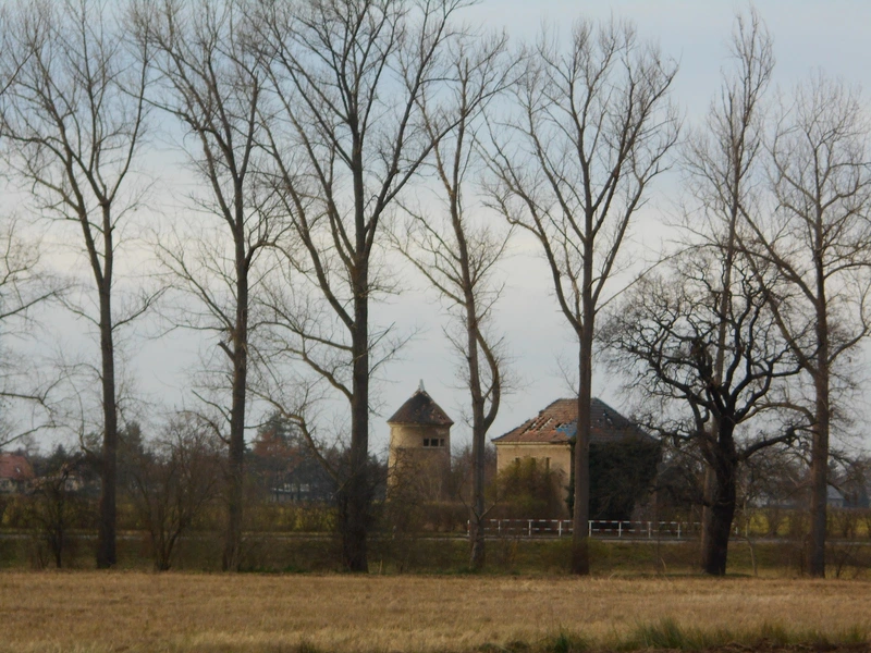 Volkssolidarität Schlossresidenz Glaubitz gGmbH – Bild 4
