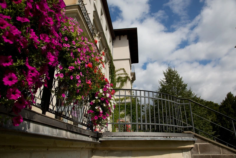 Waldpark Seniorenpflegeheim – Bild 4