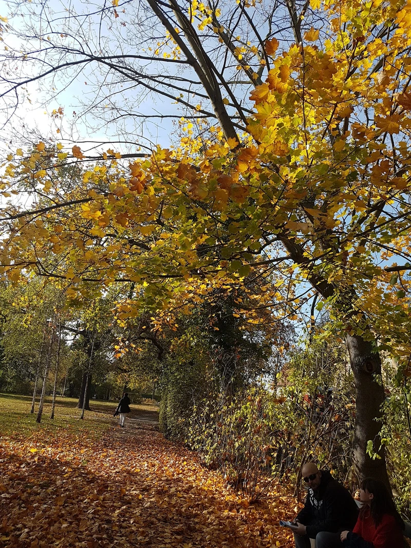 Seniorenzentrum "Prof. Rainer Fetscher" – Bild 5