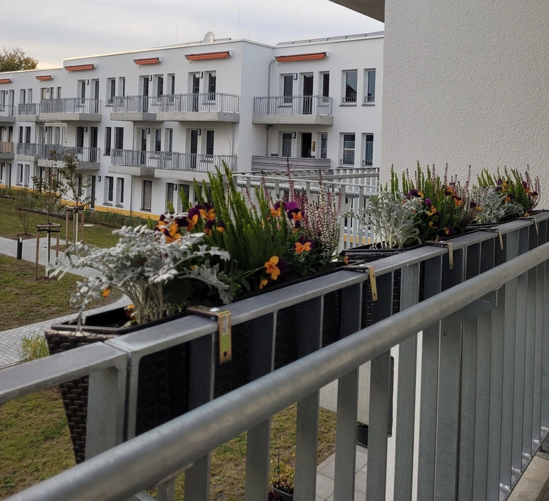 Wohnpark "Am Hofwall" – Bild 1