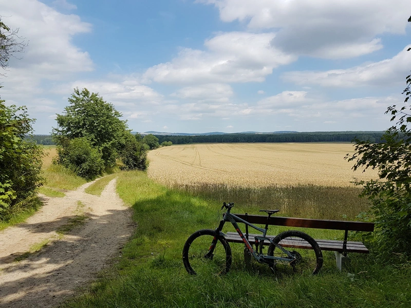 Alltagsbegleitservice "Bleib mobil" - Katrin Dönninghaus – Bild 1