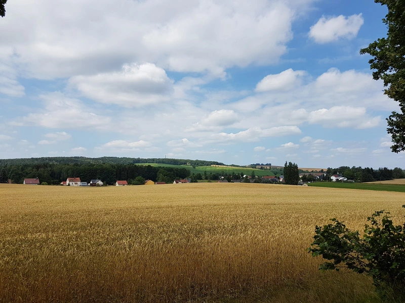 Alltagsbegleitservice "Bleib mobil" - Katrin Dönninghaus – Bild 2