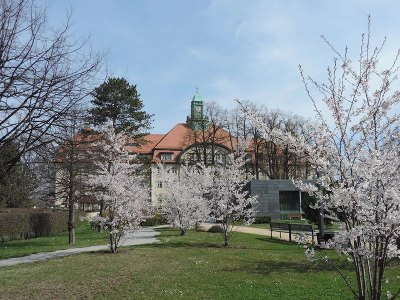 Diakoniewerk Oberlausitz gGmbH – Bild 4