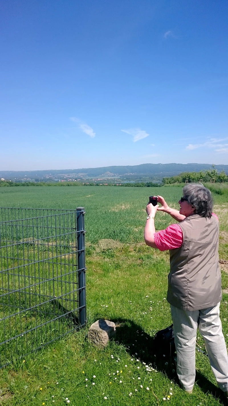 HSR - Oberlausitz Pflege und Betreuung GmbH & Co.KG – Bild 3