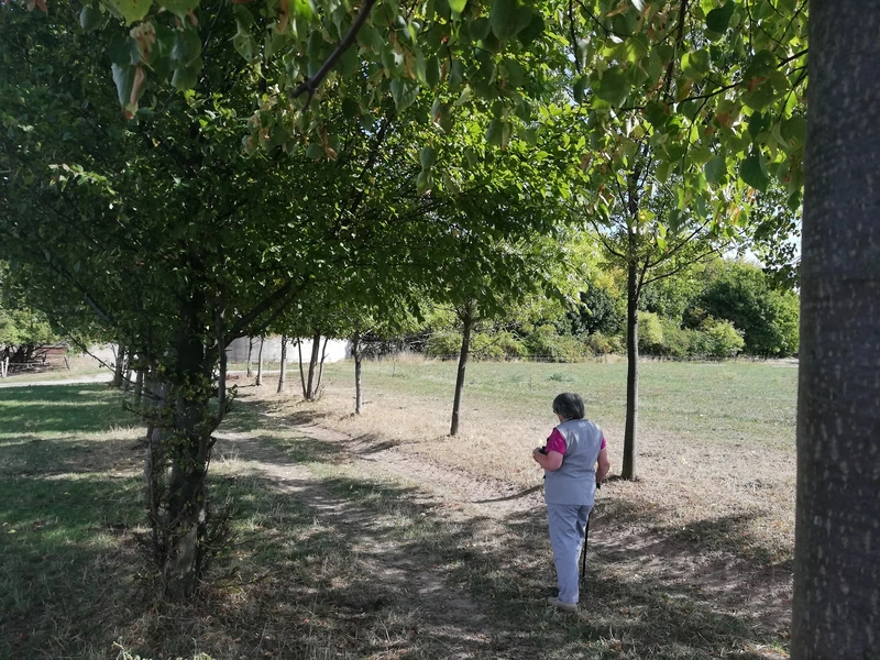 HSR - Oberlausitz Pflege und Betreuung GmbH & Co.KG – Bild 4