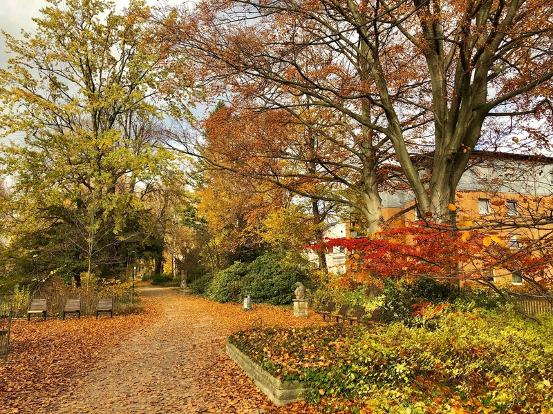 Medicus Cottbus GmbH Pflegezentrum Mühleninsel – Bild 3
