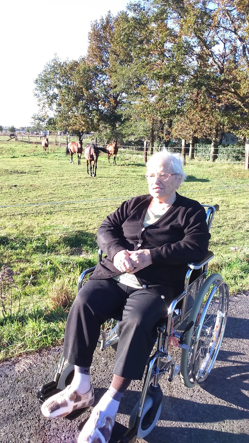 Senioren-Landhaus Klein Partwitz – Bild 5