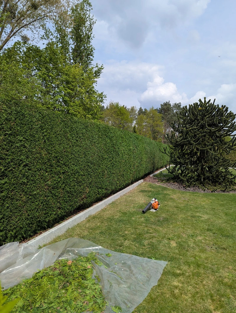 Haus- und Gartenservice - Franziska König – Bild 1