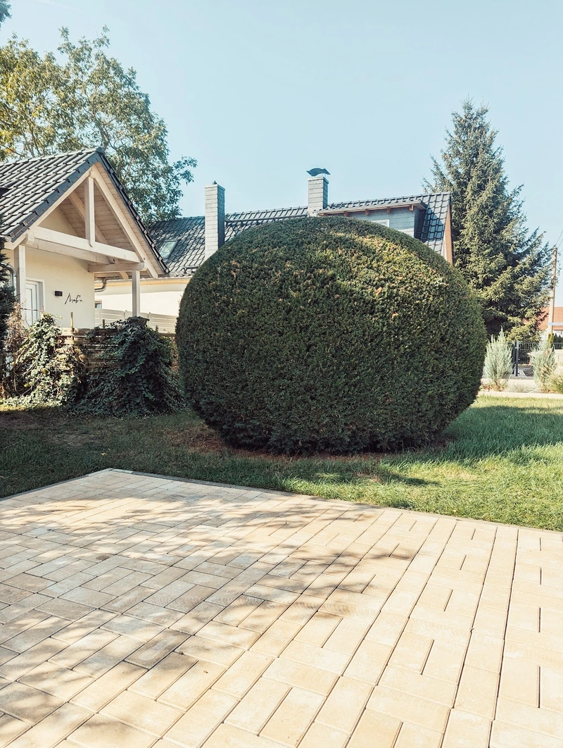 Haus- und Gartenservice - Franziska König – Bild 3