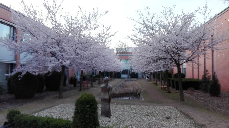 Altenpflegeheim Finsterwalde – Bild 2