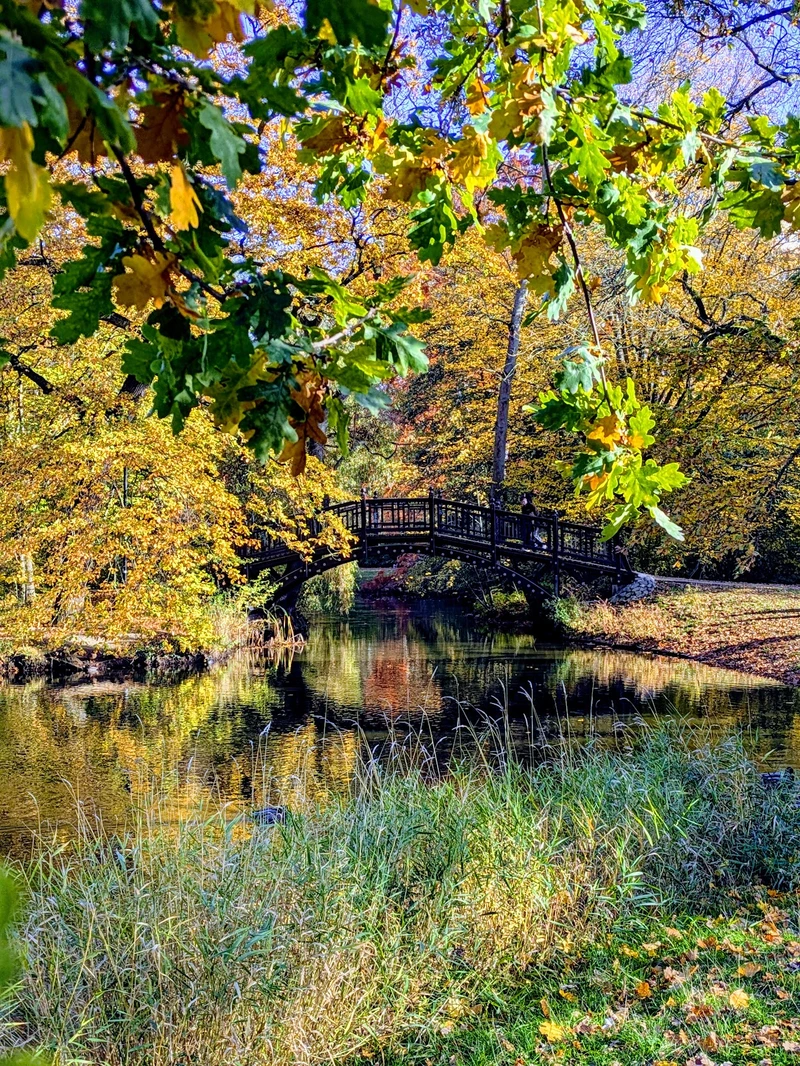 Helping Hands - Für alle Fälle Stephanie – Bild 1