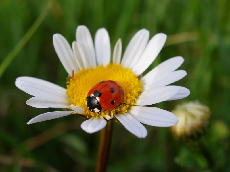 Helping Hands - Für alle Fälle Stephanie – Bild 4