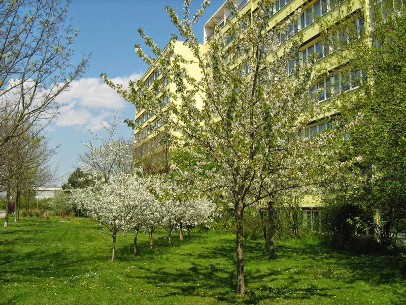 Wohnstätte für Menschen mit Behinderung Wohnpflegebereich – Bild 2