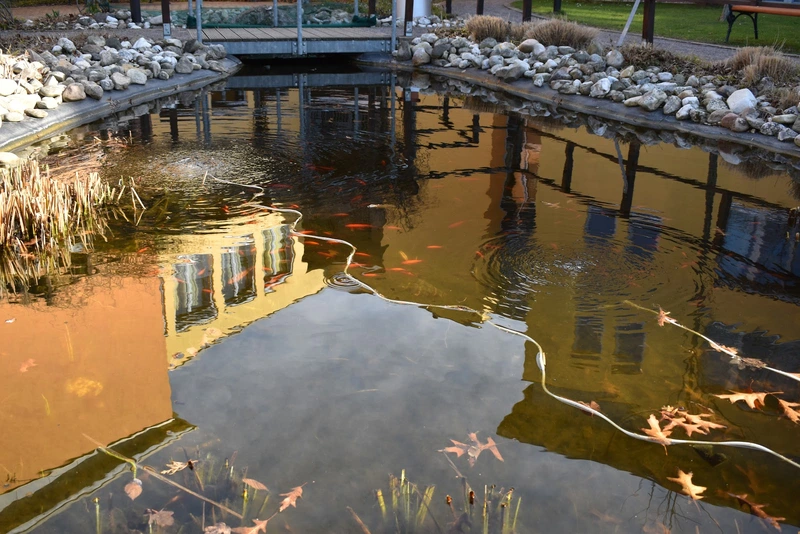 ASB Seniorenheim "Am Park" – Bild 3