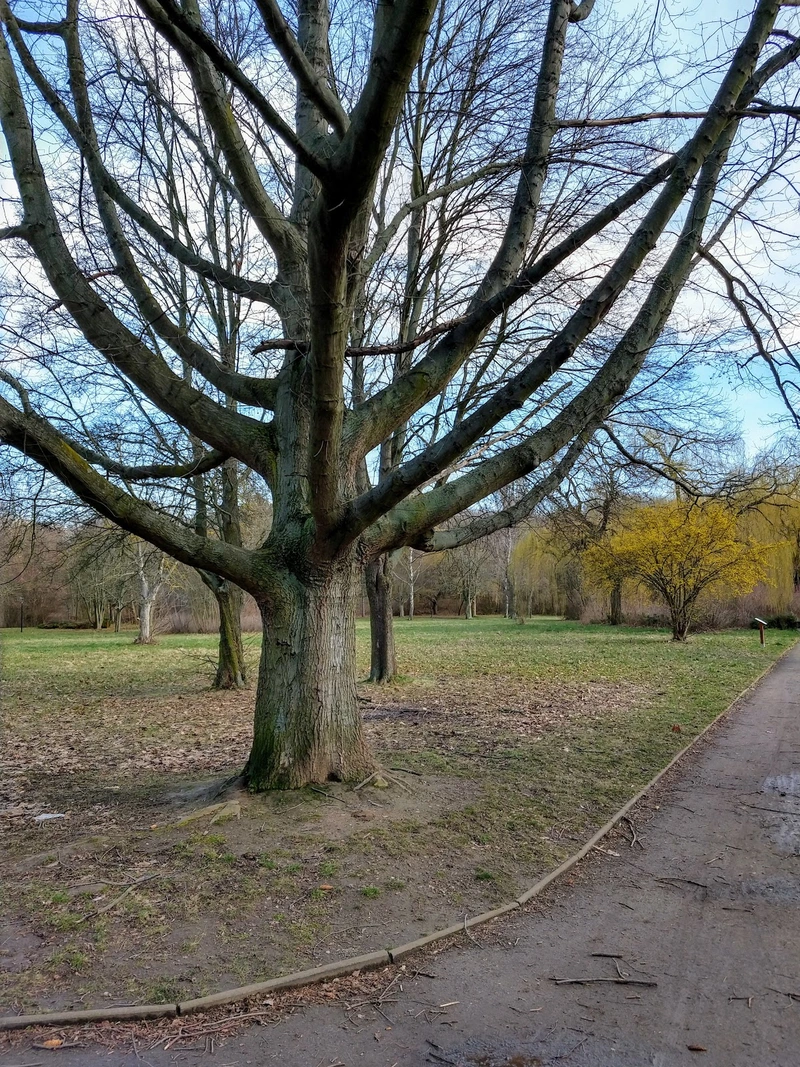 ASB Seniorenheim "Am Park" – Bild 5