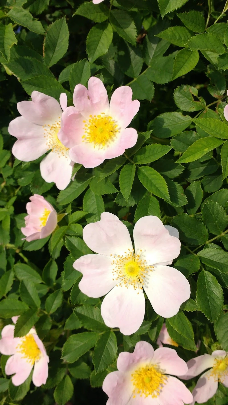 Seniorenhaus Am Südhang gGmbH – Bild 1