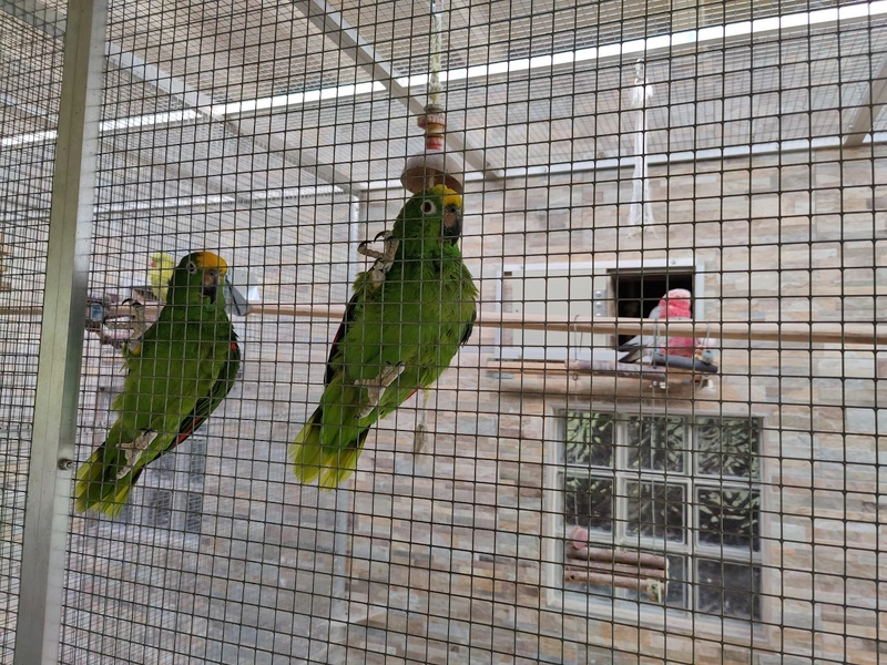 Ambulante Alten- u. Krankenpflege B. Reinhardt GmbH – Bild 5