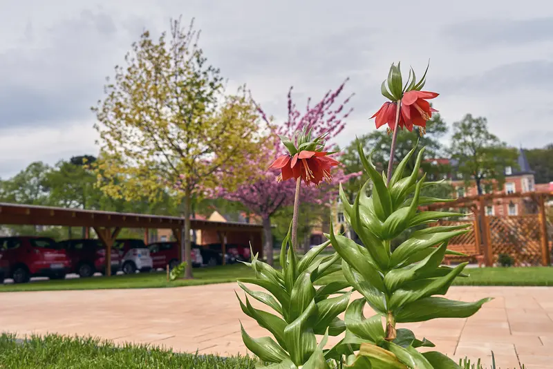 Hauskrankenpflege Schwester Ramona Inh. Victoria Feldmair – Bild 3
