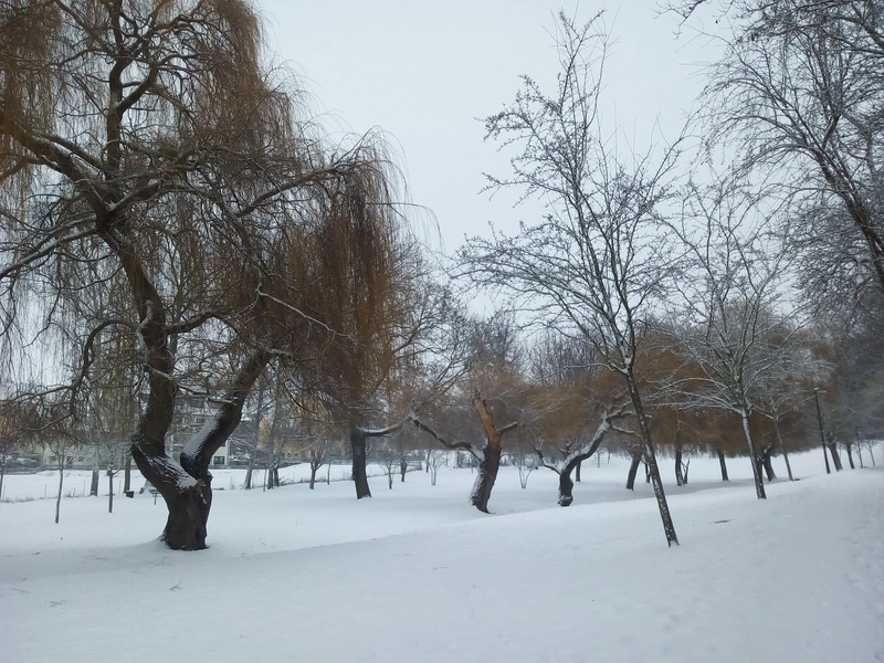 SAS-Seniorenheim am Stadtpark gGmbH – Bild 2