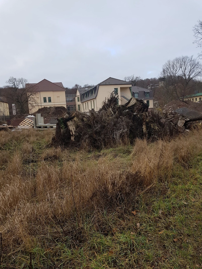 Pflegeheim Salzmünde – Bild 4