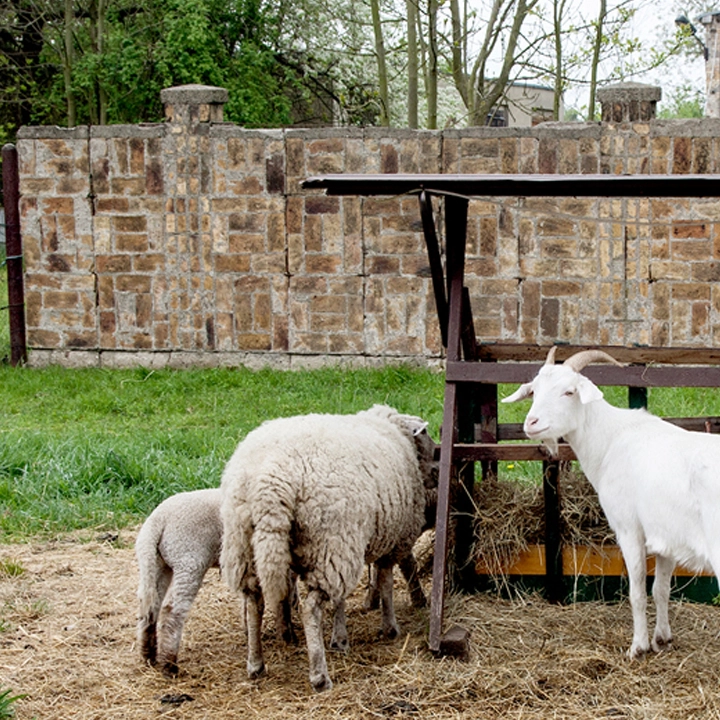 Städtisches Pflegeheim "Am Lutzepark" – Bild 4
