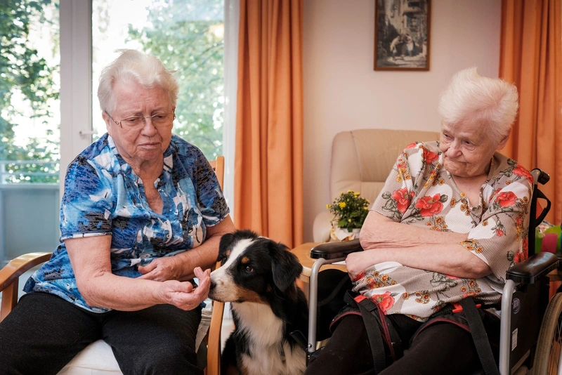 Seniorenwohnpark Wahle – Bild 2