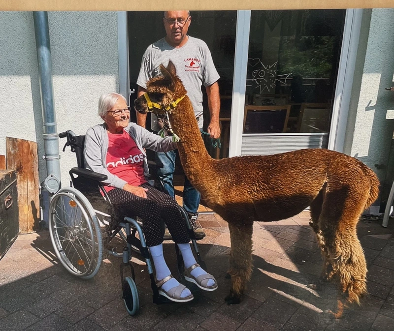 Villa Aura – Bild 3