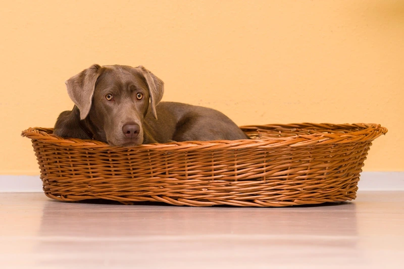 Strohhut UG-Tagespflege – Bild 2