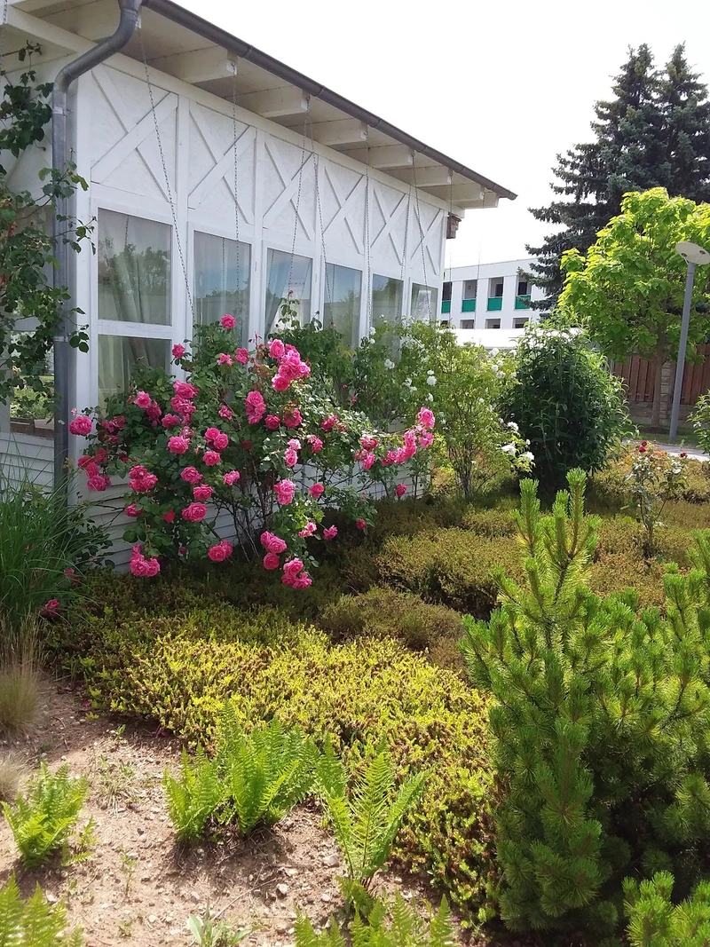 VolksSolidarität 92 Dessau/Roßlau e. V. "Haus Elballee" Pflegeheim – Bild 2