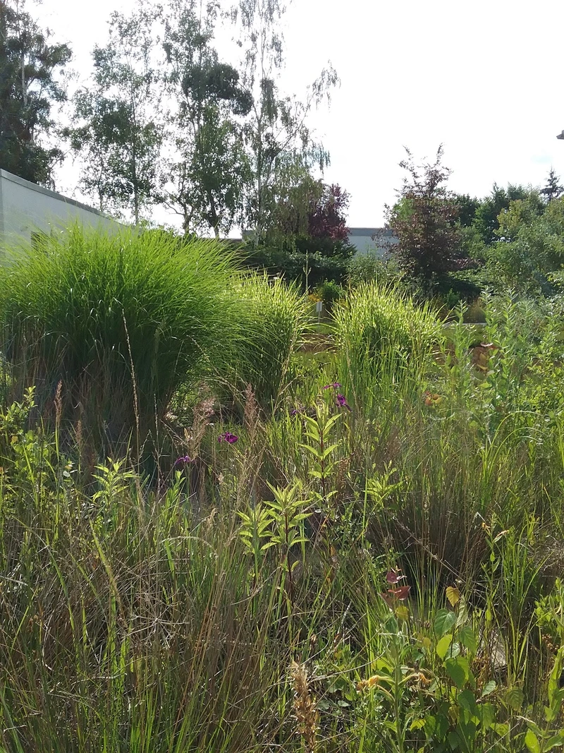 VolksSolidarität 92 Dessau/Roßlau e. V. "Haus Elballee" Pflegeheim – Bild 3