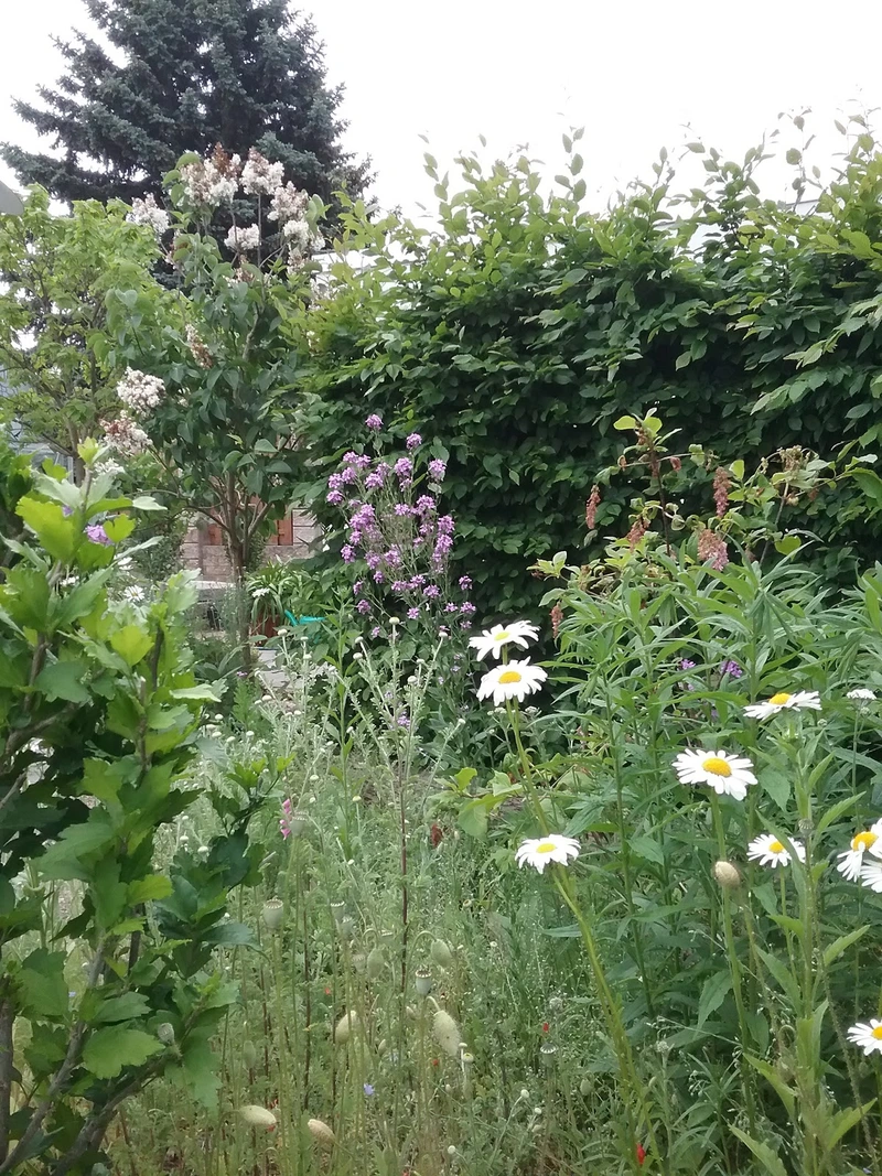 VolksSolidarität 92 Dessau/Roßlau e. V. "Haus Elballee" Pflegeheim – Bild 5