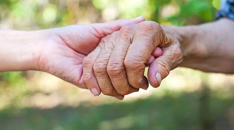 care & mehr GmbH Pflege & Services Tagespflege Eis – Bild 2