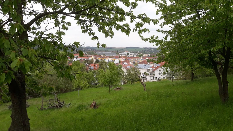 Tagespflege Wohnpark Martins Höhe – Bild 3