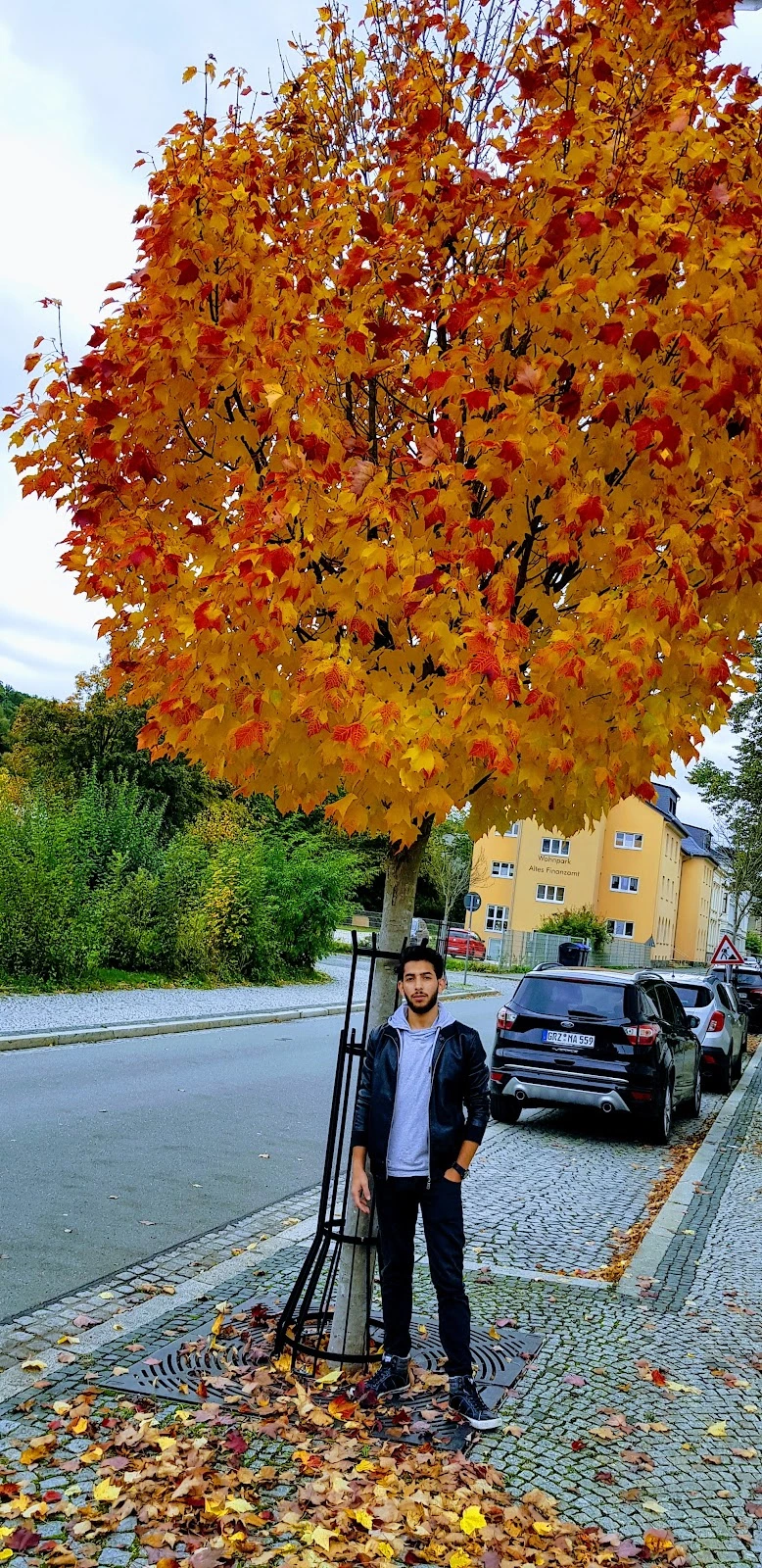 Alloheim Senioren-Residenz "An der Schlossbrücke" – Bild 3