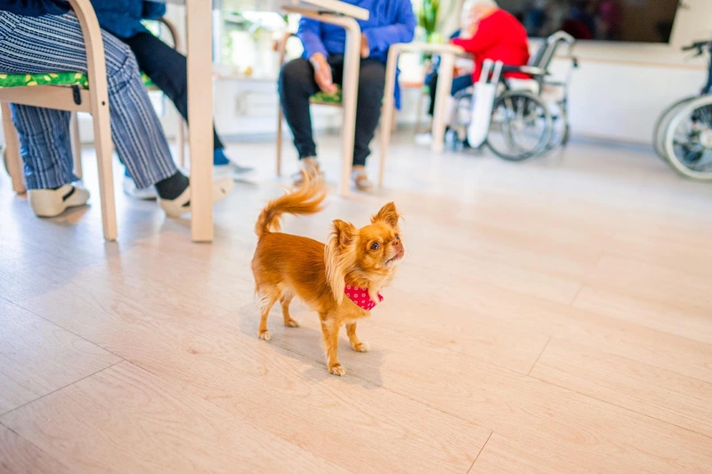 Katharinenhof an der Wiesenaue – Bild 3