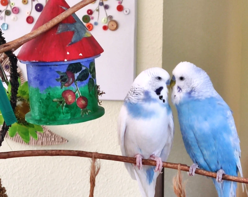 Tagespflege Meerane – Bild 2