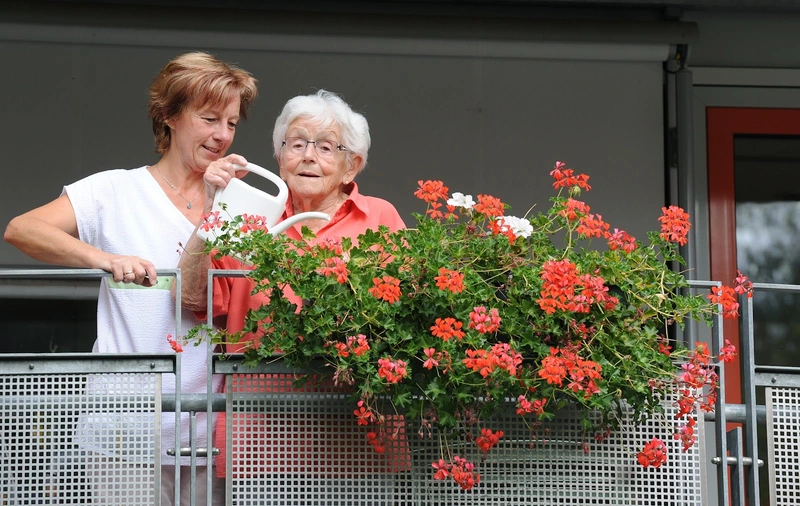 Senioren-Pflegeheim "Im Park" – Bild 4