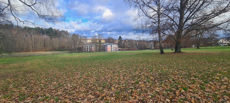 Senioren-Pflegeheim "Im Park" – Bild 5