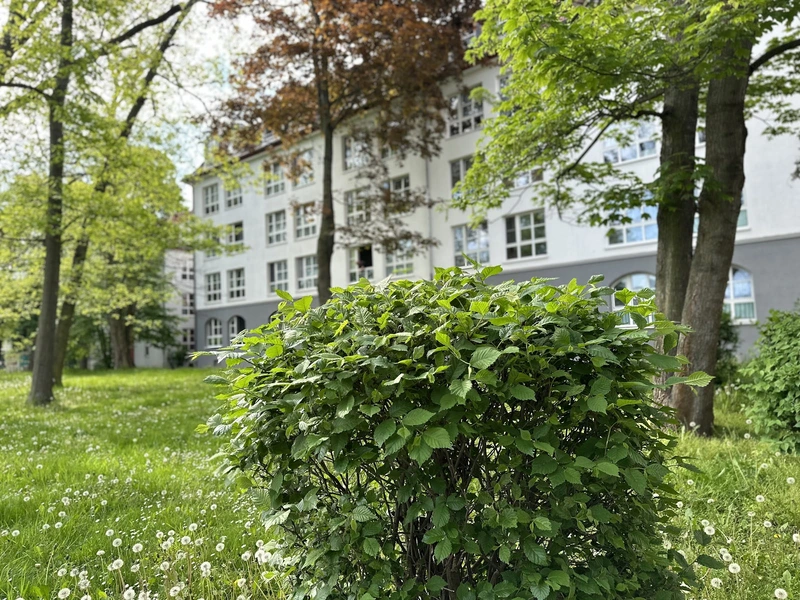 Pflegedienst Engel – Bild 2