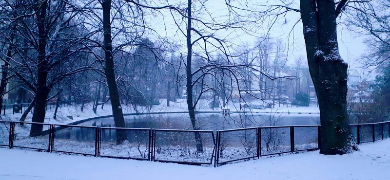 Lebenshilfe Annaberg für Menschen mit geistiger Behinderung e.V. – Bild 3
