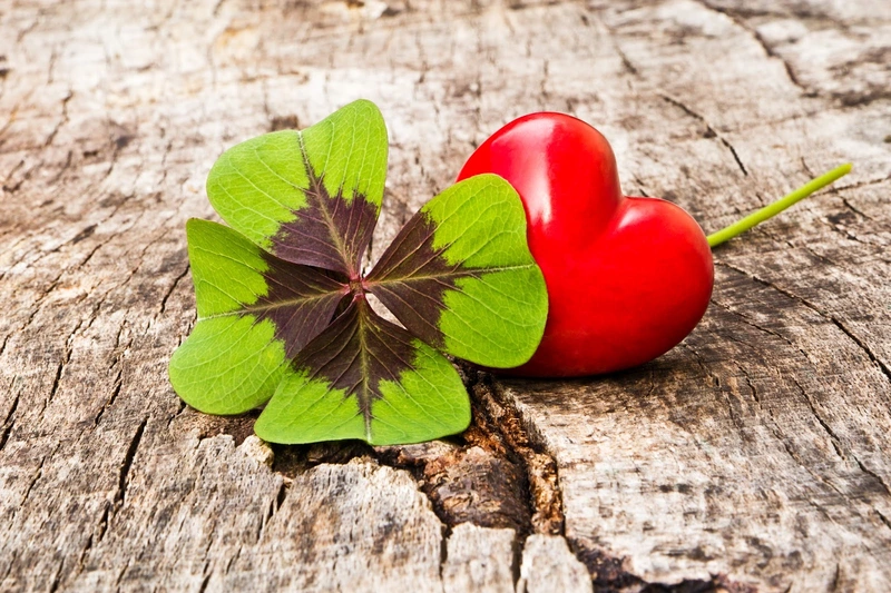 Pflegedienst Nicole Tobias – Bild 1