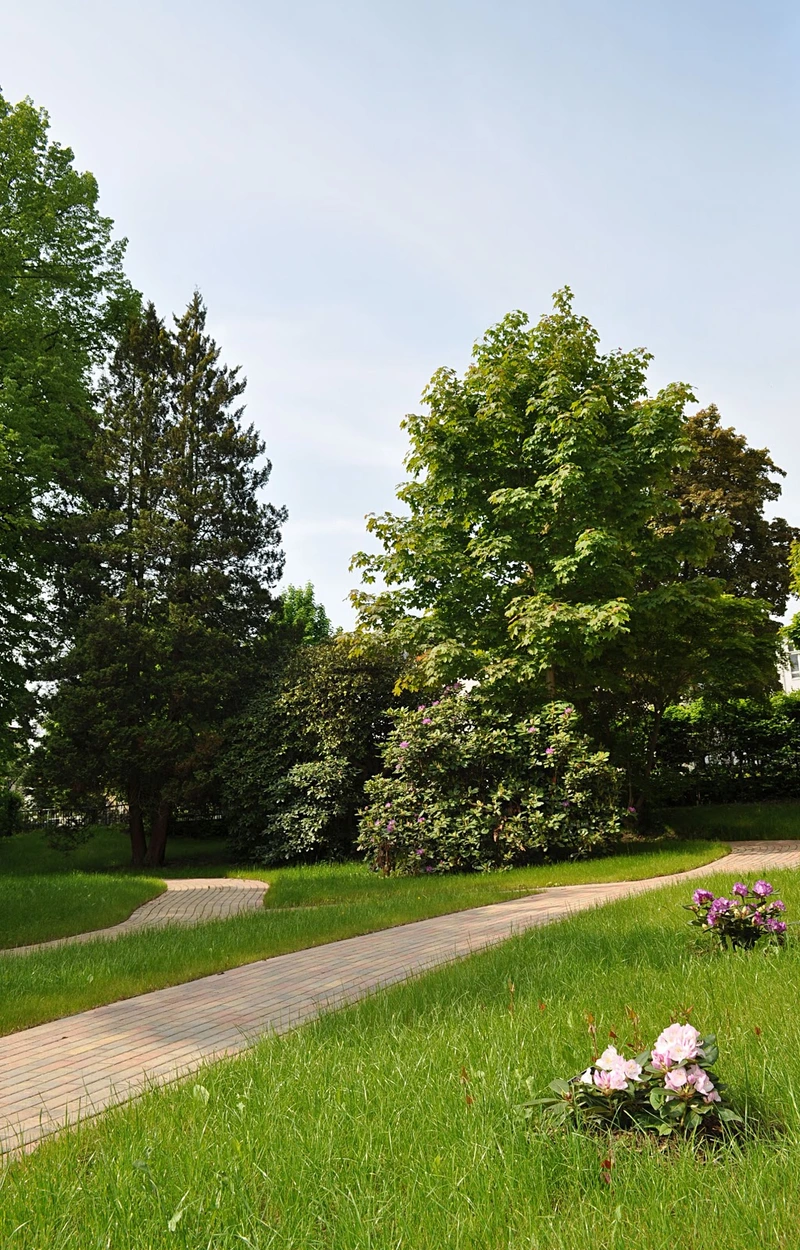 Pflegezentrum Schöne/Burkhardt Ambulanter Pflegedienst – Bild 4