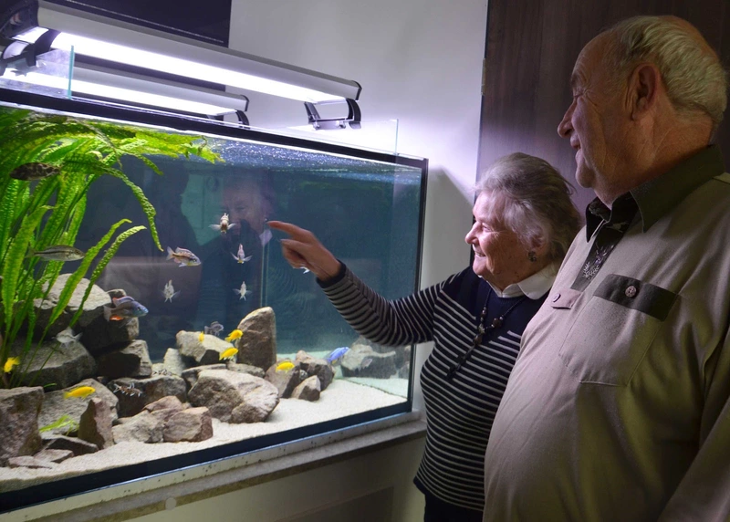 Brambor Pflegedienstleistungen – Bild 2