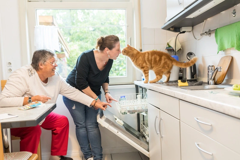 FÖV Service gemeinnützige Integrationsgesellschaft gGmbH – Bild 3