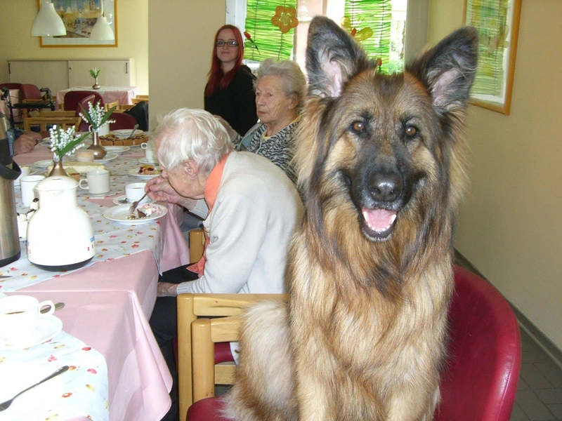 Seniorenheim Seeburger Weg – Bild 3