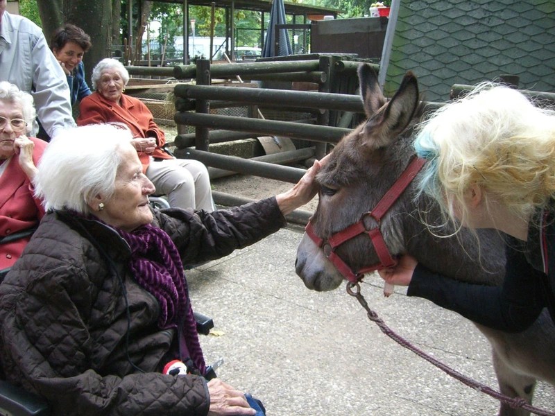 Seniorenheim Seeburger Weg – Bild 5